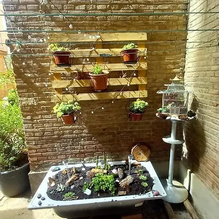 El Rincon De Chavely Palencia