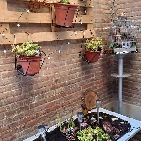 Apartament El Rincon De Chavely