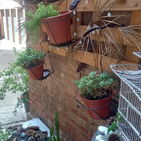 El Rincon De Chavely Palencia