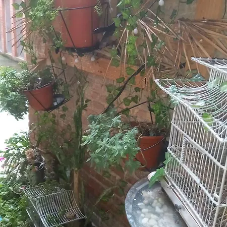 El Rincon De Chavely