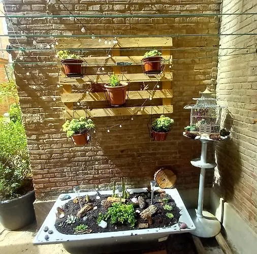 El Rincón De Chavely Palência