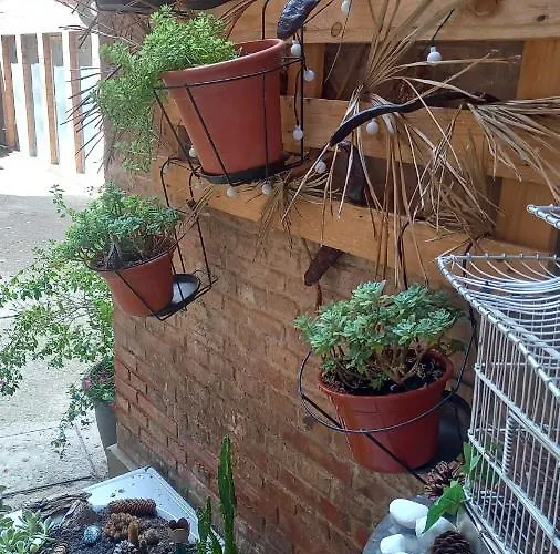 El Rincón De Chavely Palência